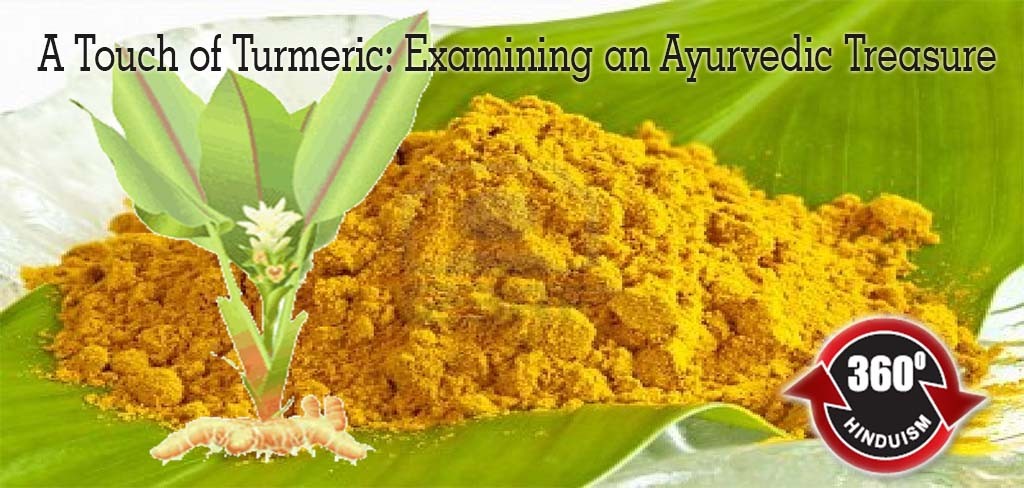 Turmeric, Ayur Plant