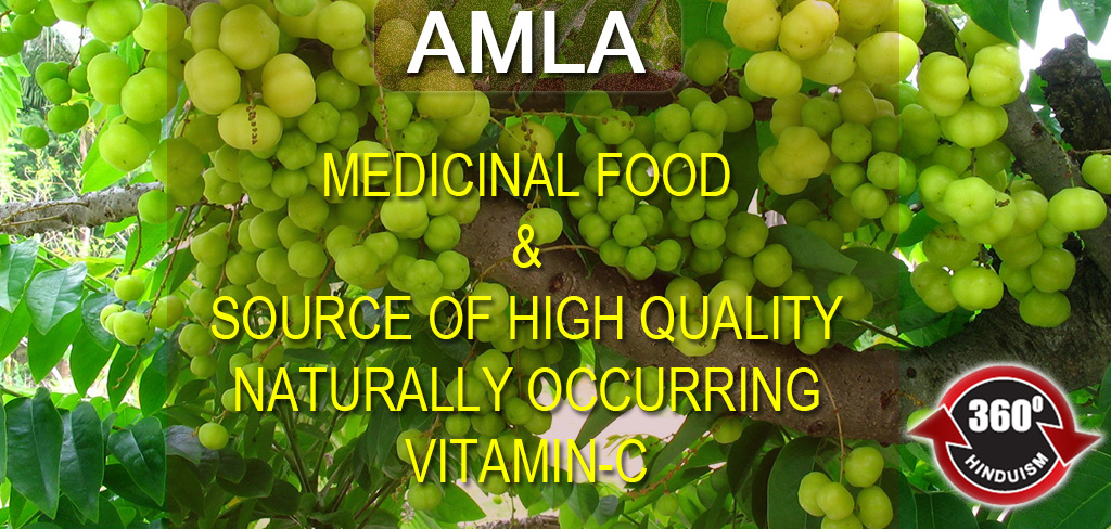 Medicinal Food & Source of High Quality VITAMIN C